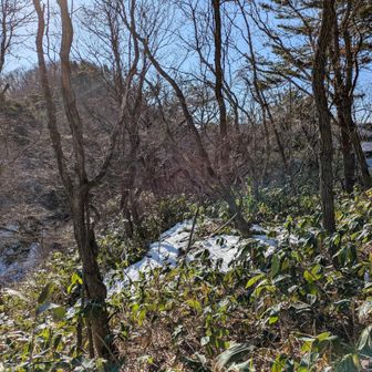 さて、こっから尾ヶ岳がちょっとやかましいんだよね