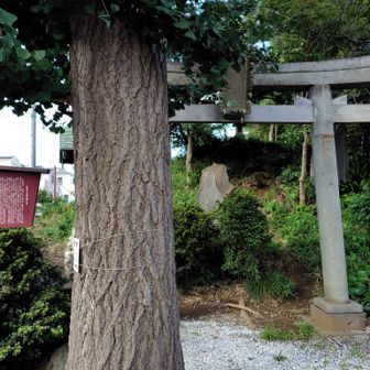 赤塚氷川神社富士塚