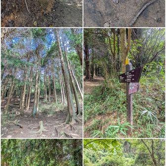 この岩、何時か落ちてくると警戒中。

ゴミ発見。

雨ヶ峠付近の風景一式。

本庄橋跡付近の飛び石。
滑ってドボン寸前でした。
油断してはいけませんねぇ。
シューズに濡れたと怒られました。