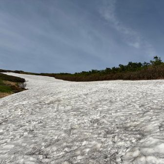 緩やかな緩斜面
スキーしたくもなるよなぁ⛷️