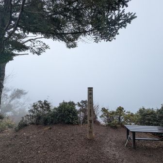 真っ白ピークその２