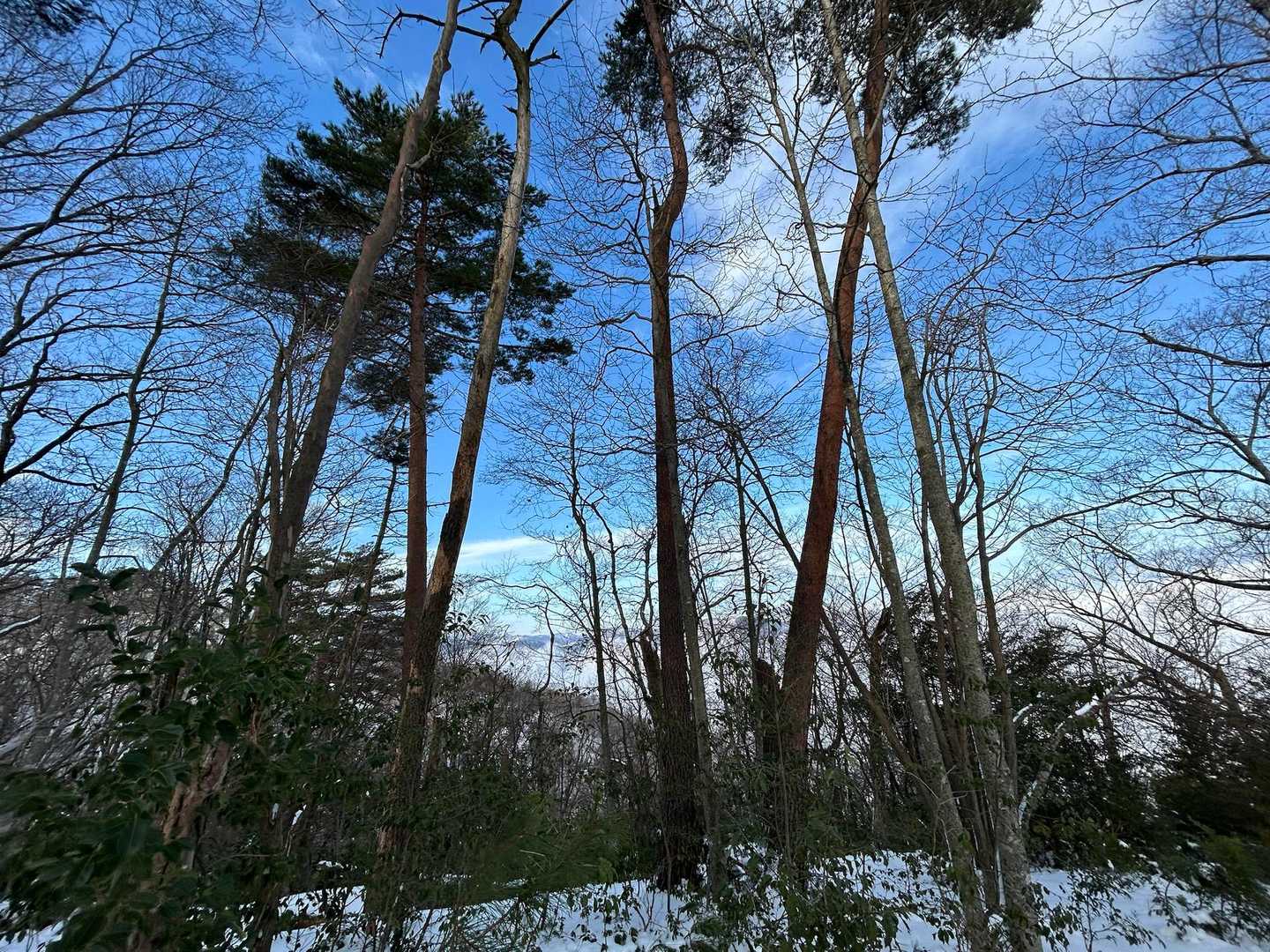 青空〜💙