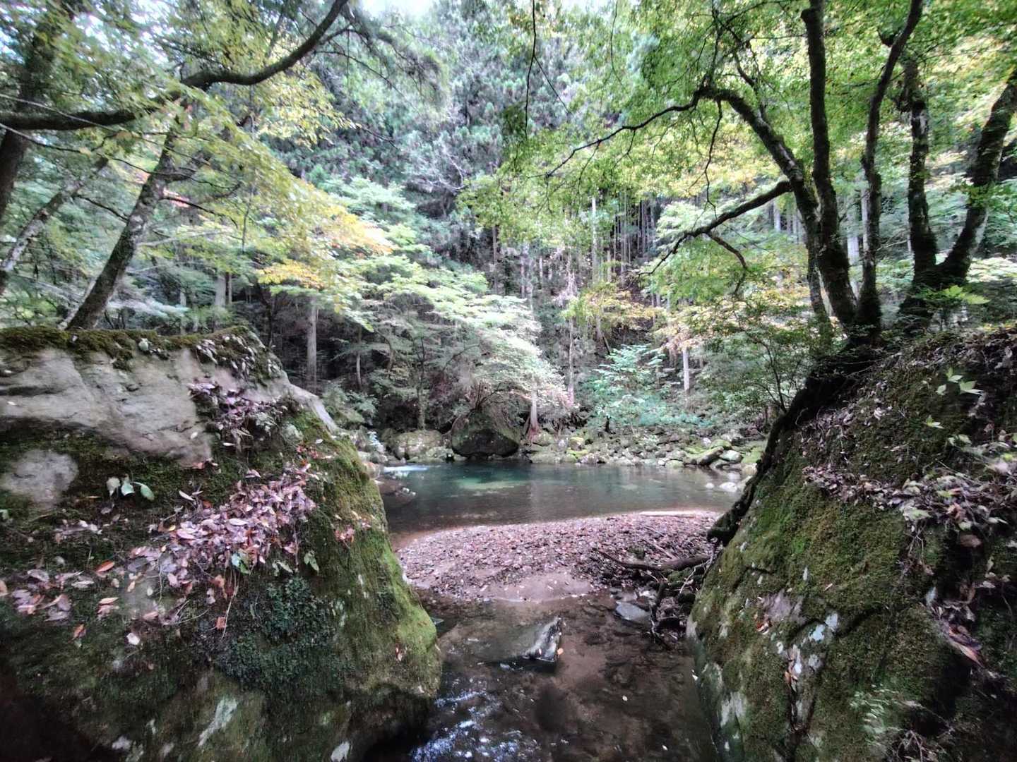 七色岩からの渓谷‼️