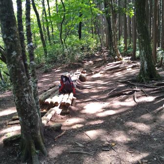 尾根に出た