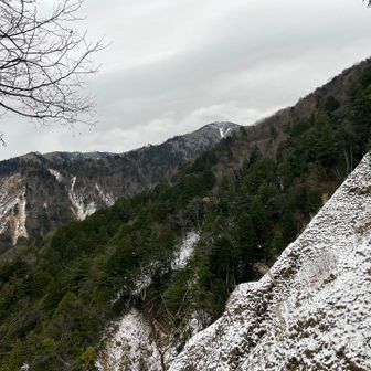 雪と極寒との格闘🥶厳冬期恵那山(↑前宮ルート、↓広河原ルート