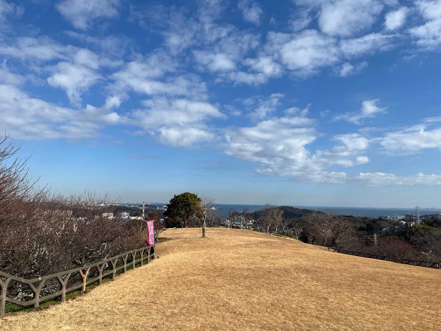 天気は良かったのですが