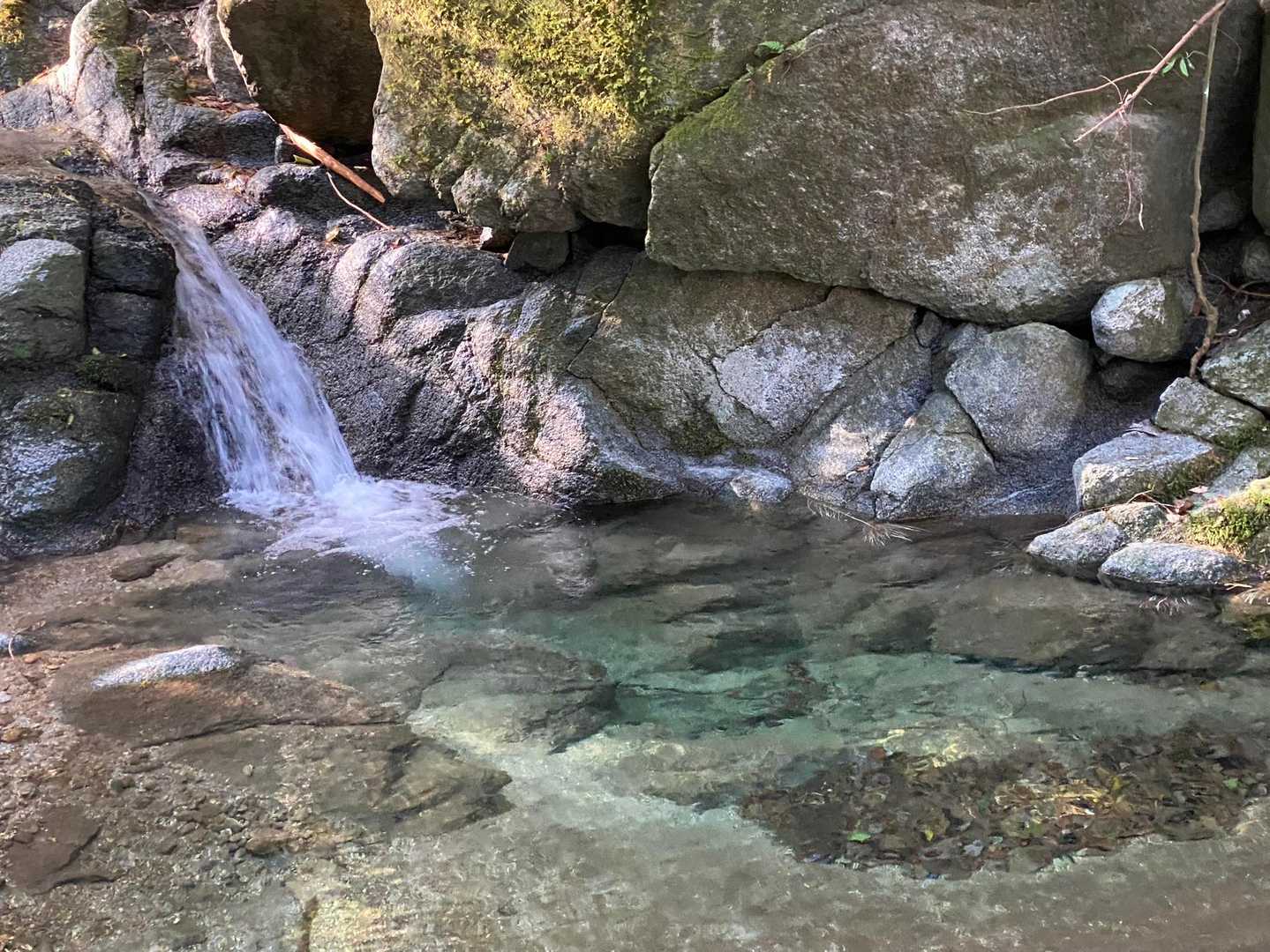 沢の水は本当に綺麗✨