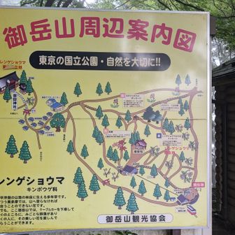 左下にレンゲショウマの案内文