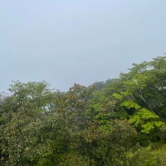 当然、山頂からも眺望なし🏝️
上宮横16℃🌡️