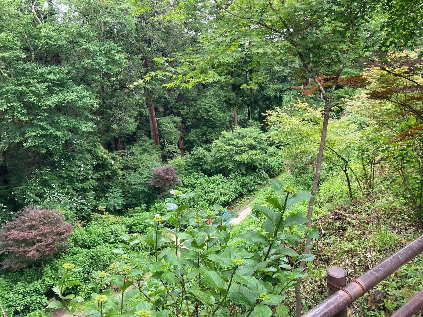 見晴らし台からの眺望