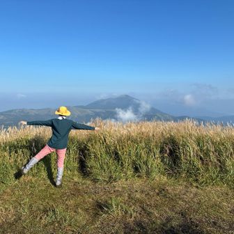 くまモンポーズ