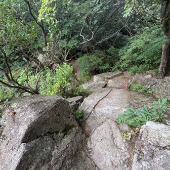 …と、鎖⛓️！！
だけど面白そう、やれるだけやってみようって思う私…変わったなぁ