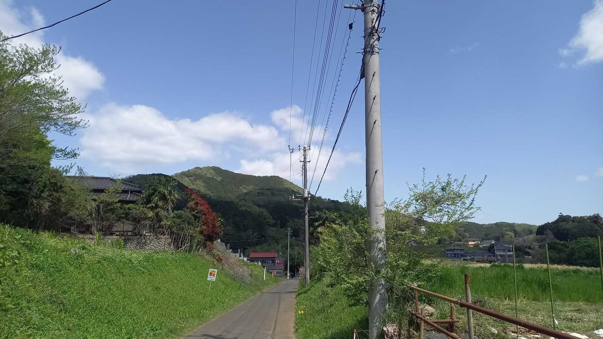 巾着田から眺める日和田山