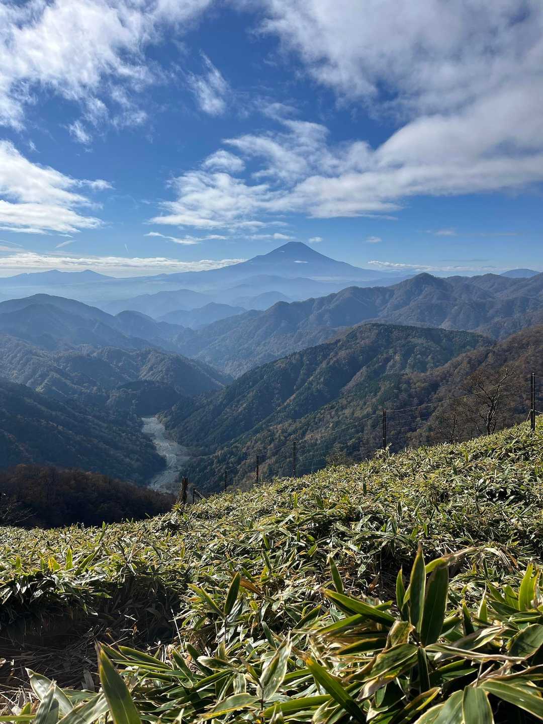 菩提峠-表尾根-塔ノ岳-丹沢山 往復コースの写真