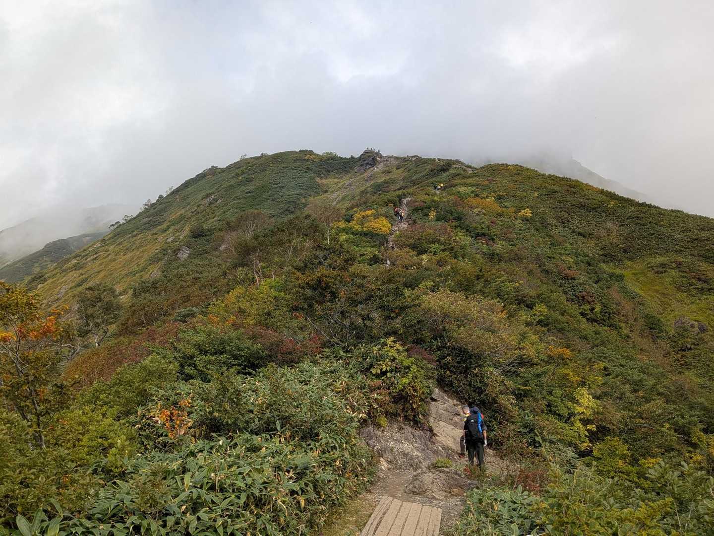 それにしても歩きやすい道！
さすが百名山