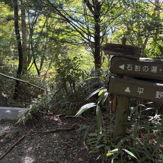 石段前に到着