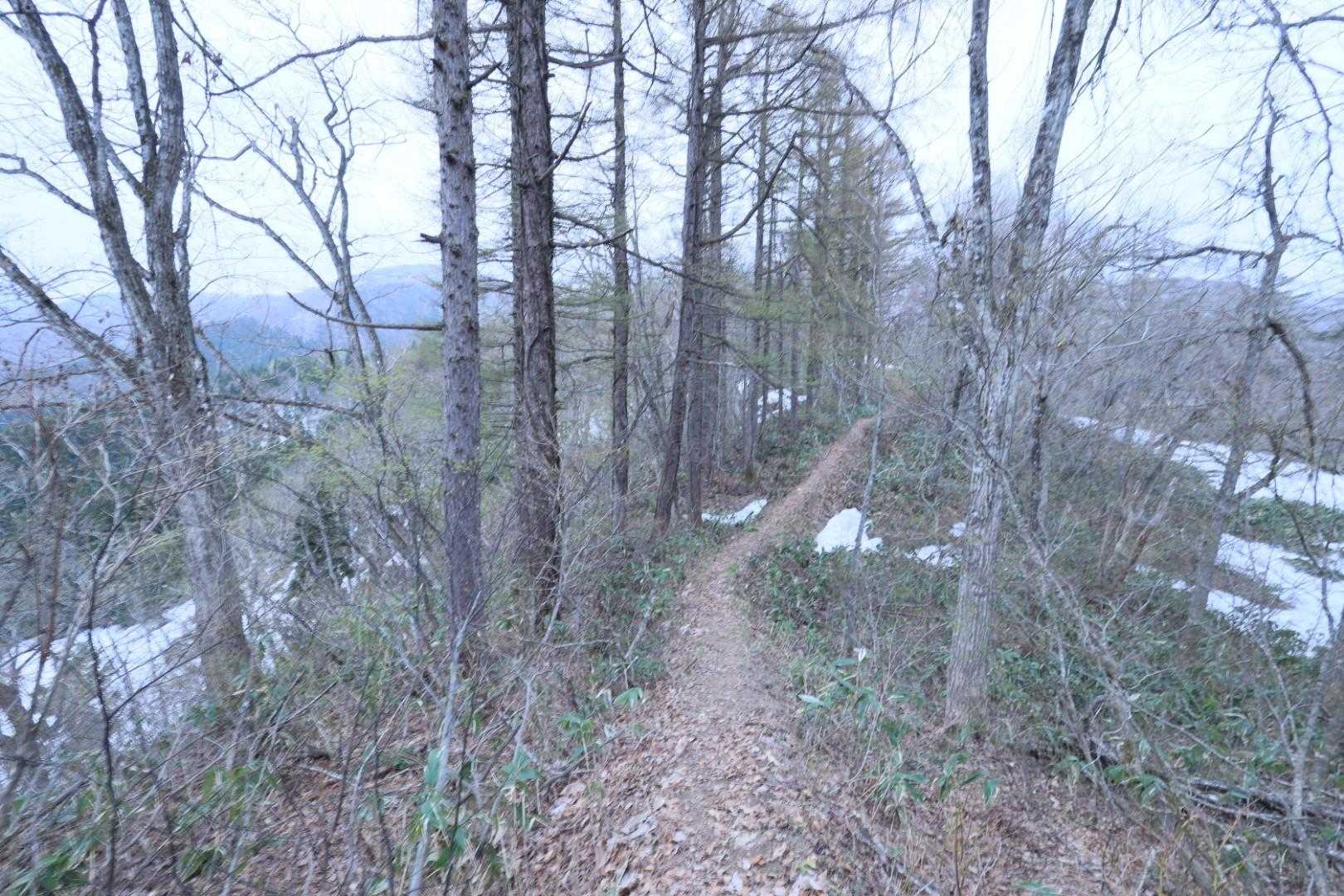 防火線