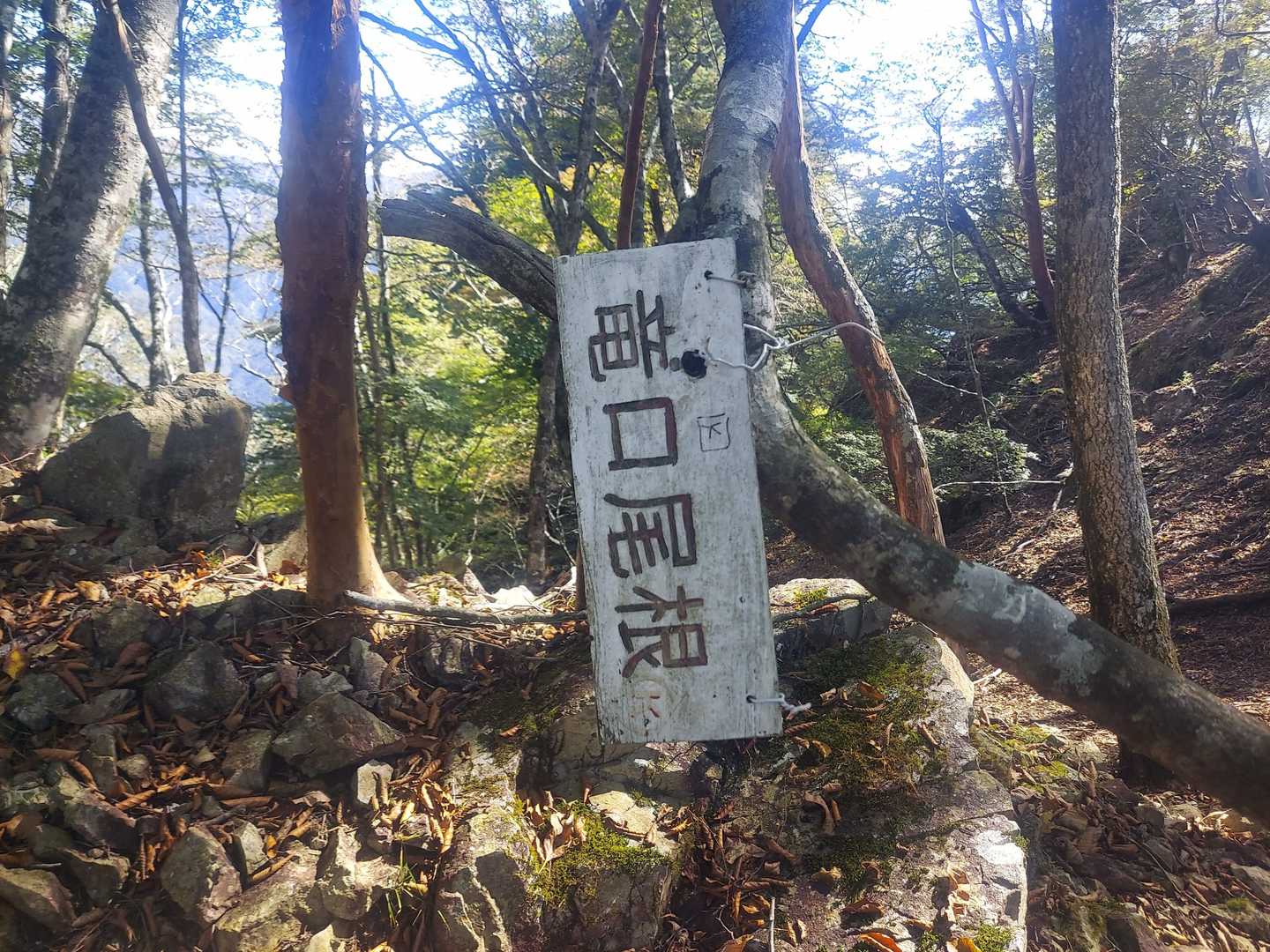 竜口尾根の道標