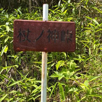 湖畔の🅿️からここまで40分かかりました！