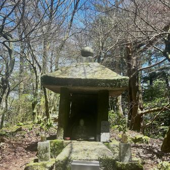 夏の仏頂山は趣きが違う