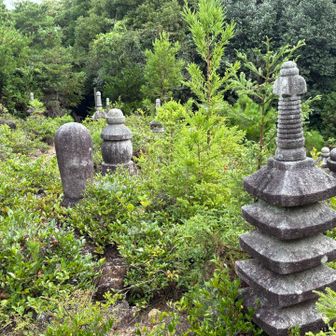 ここからは43基の経塚が発見されたそう👀