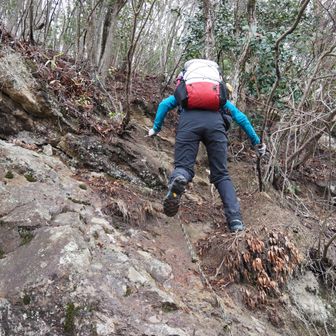 岩場が終わっても基本、急登は変わりません。😂