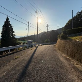 では降る。車道ぞいかな？