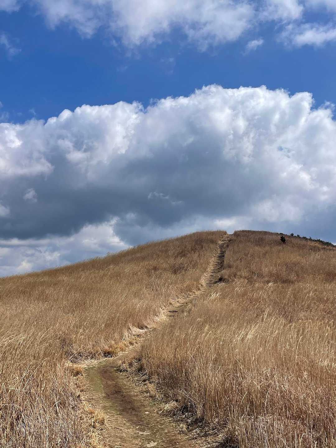 絶景💛🩵　秋じゃないけど、十分絶景💕