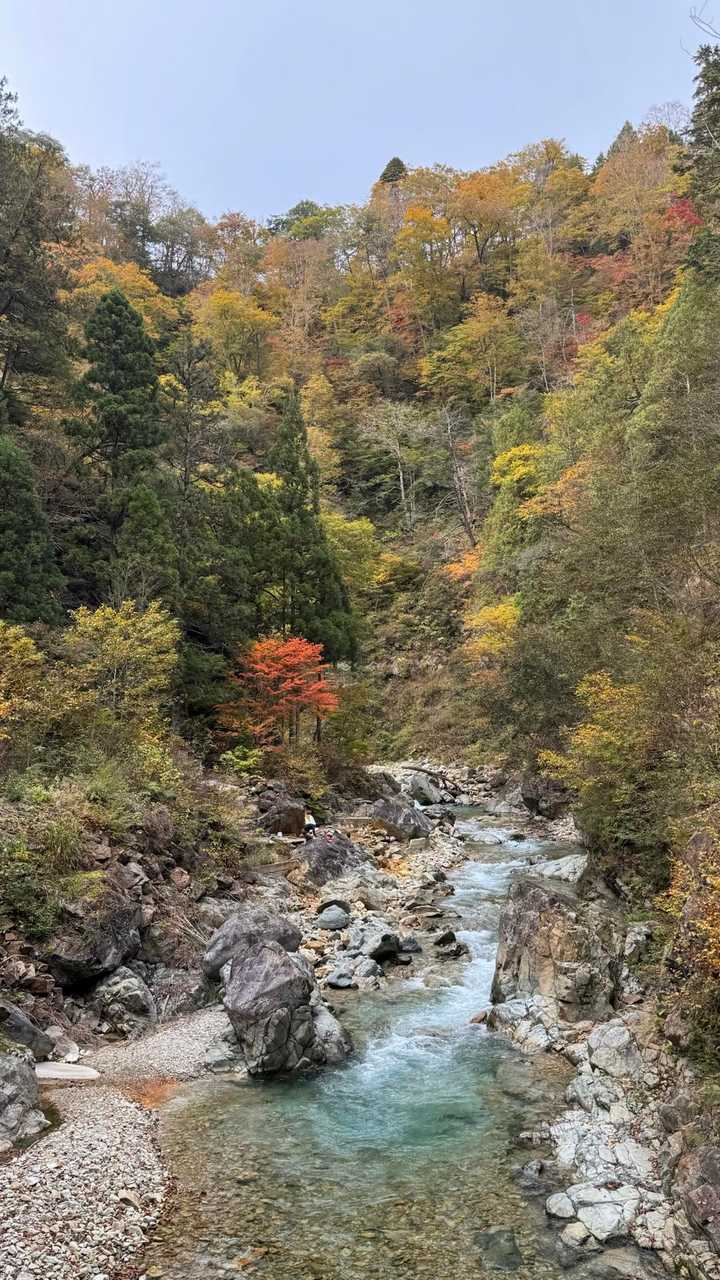 信越トレイル#5（sec.10-9-8／苗場山〜小赤沢〜結東〜森宮之原駅）、完走！ の写真 7
