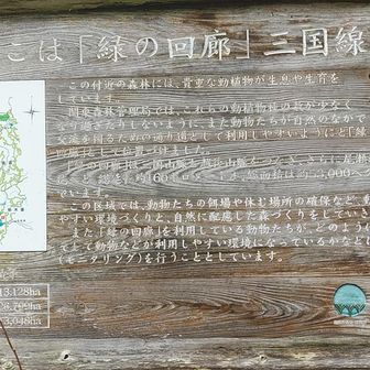 下山しました。