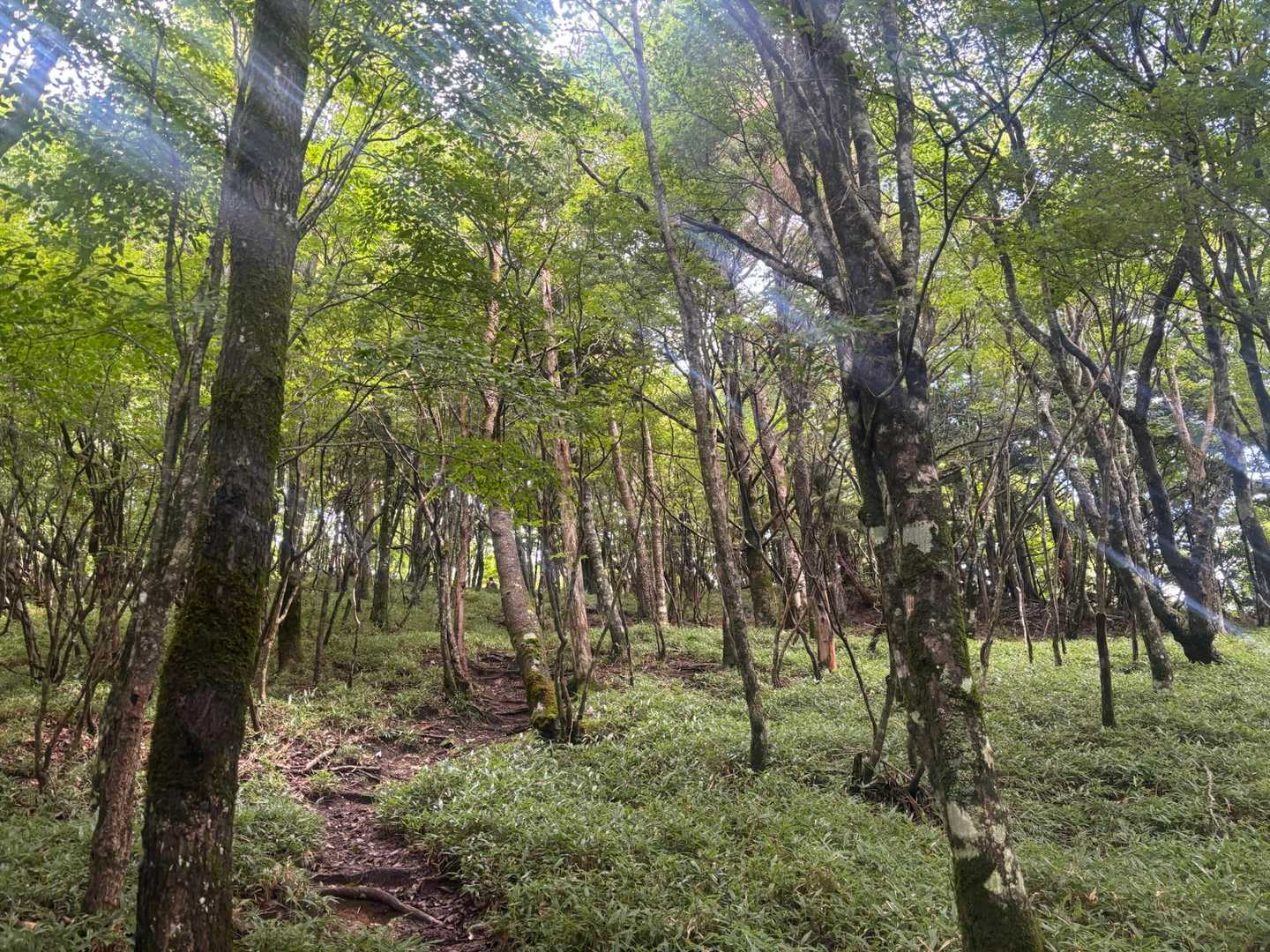登ったり、下ったりを繰り返します