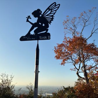 イナバ山に現れた❣️
青空に映える♪