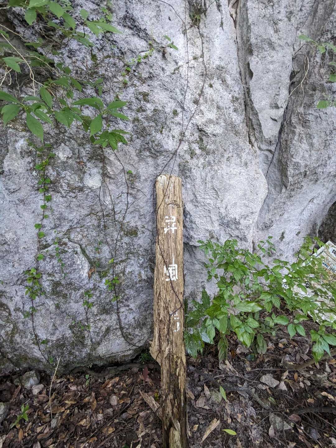 屏風岩
このあたりでリス🐿にあった✨