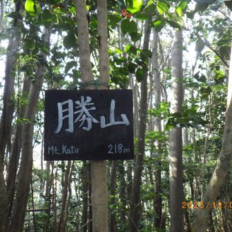 超地味な山頂プレート