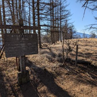 木無山山頂、特に眺望なし