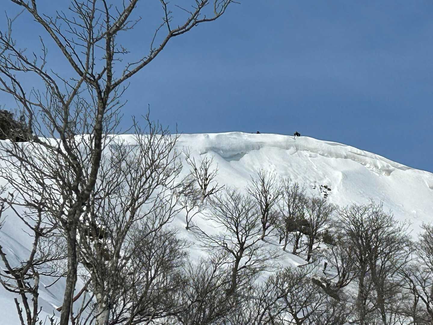いい感じに育ってますね😄