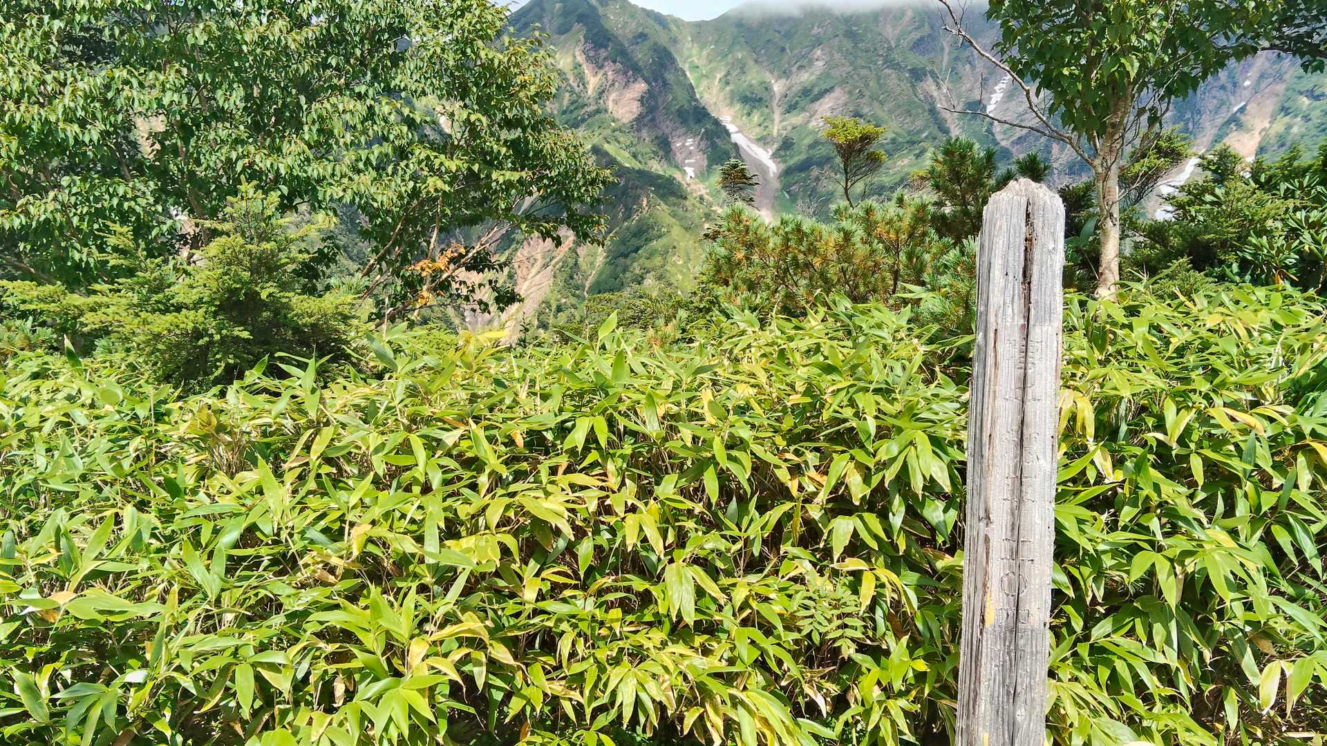 高千穂平に到着。
まだまだ登ります。