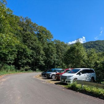 🅿️朝は5台  下山したら23台