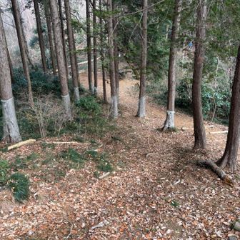 ぐみの木峠に着きました。後はここから大中寺まで戻って今日の山歩きは終了です♪まったり歩き楽しかったです😆