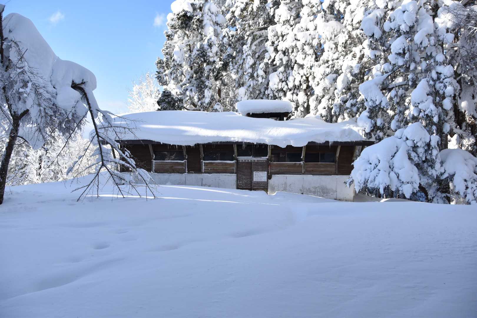 大平口-白鷹山 往復コースの写真