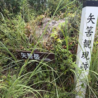 矢筈岳山頂への分岐がわかりずらかったが、無事に登頂