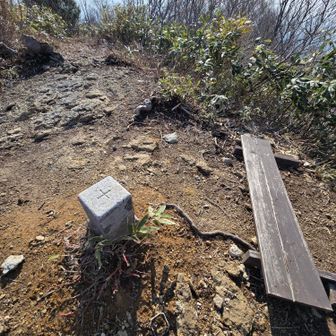 低い板のベンチと三角点