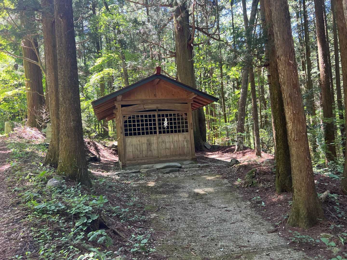 安戸山 往復コースの写真