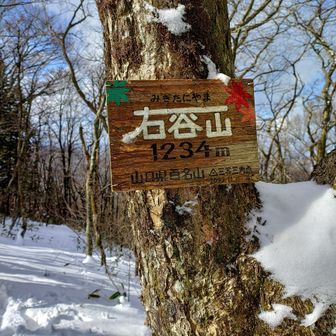 右谷山　山頂‼️