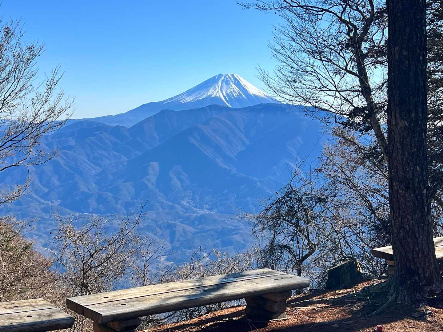 尾根に上がったところのベンチ！
ここからの富士山が一番良かったなぁ