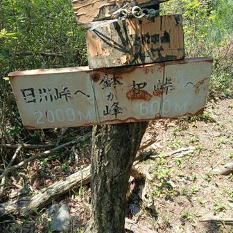 鉢ヶ峰、ここで水が足りなそうなことに気づくも、進むことにしました。