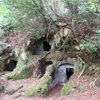 途中立ち寄った楊谷寺谷戸横穴群。