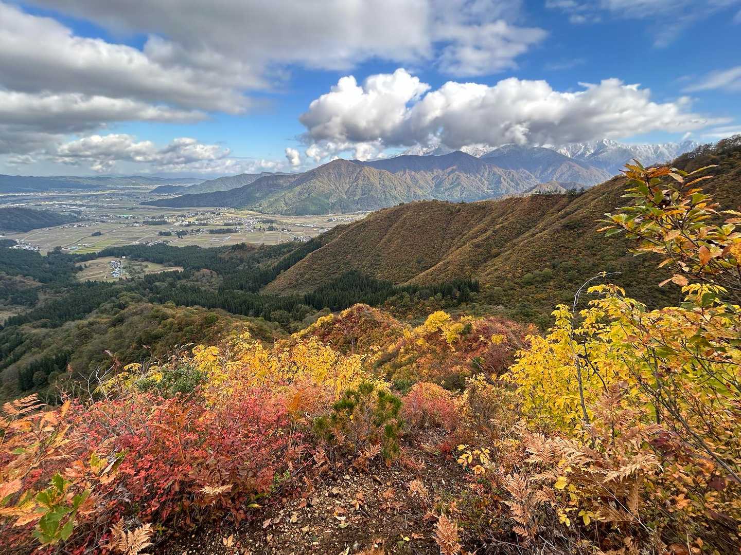 【周】金城山（中川新田登山口）<水無コース・滝入コー ス>の写真