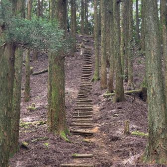 江川岳は今日は行きで行くんだ！と思ったけど、どうしようかな…🥹