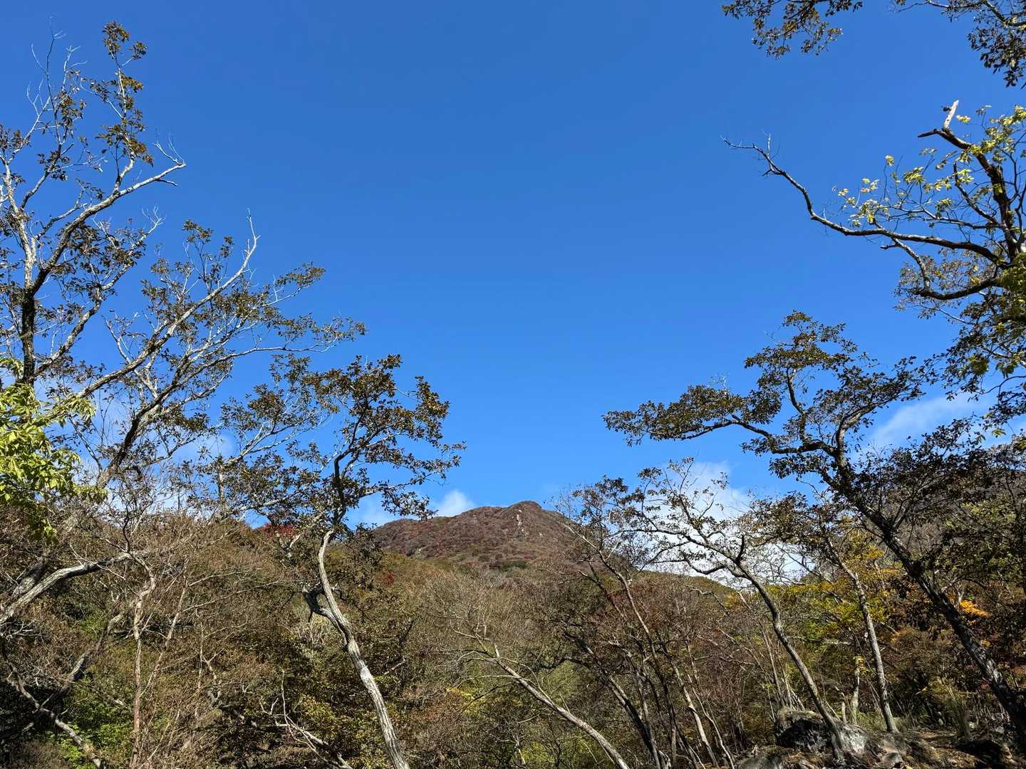 赤川登山口-久住山 往復コースの写真